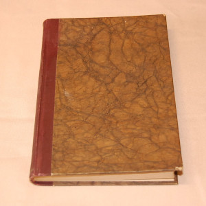 Kruununprinssi Wilhelmin muistelmat